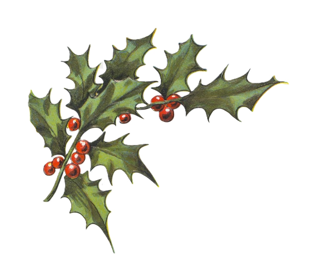 holly png