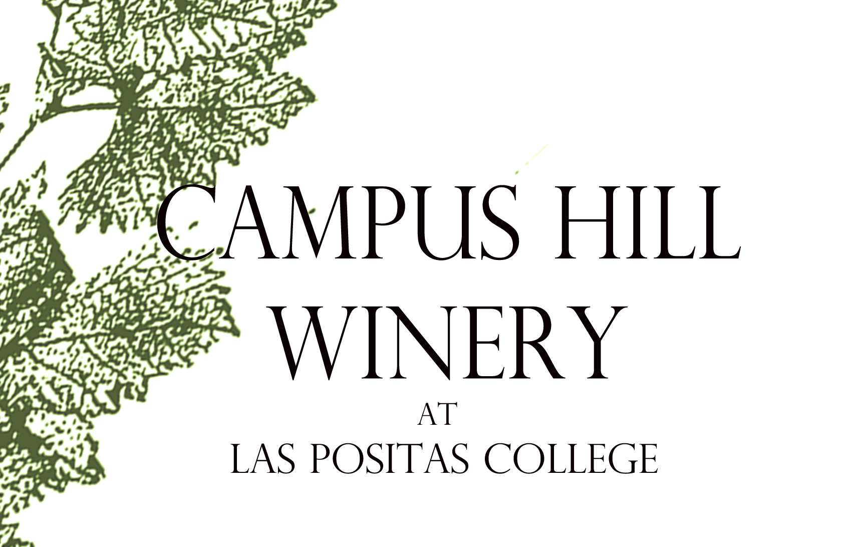 Campus Hill Winery