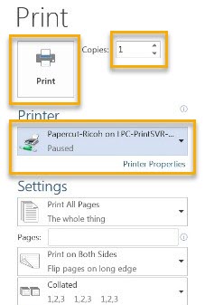 Papercut – Ricoh on LPC print SRV 01